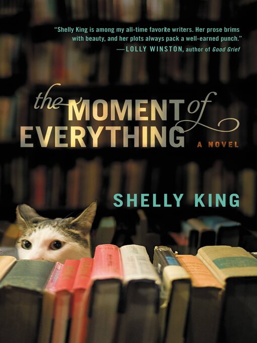 Imagen de portada para The Moment of Everything